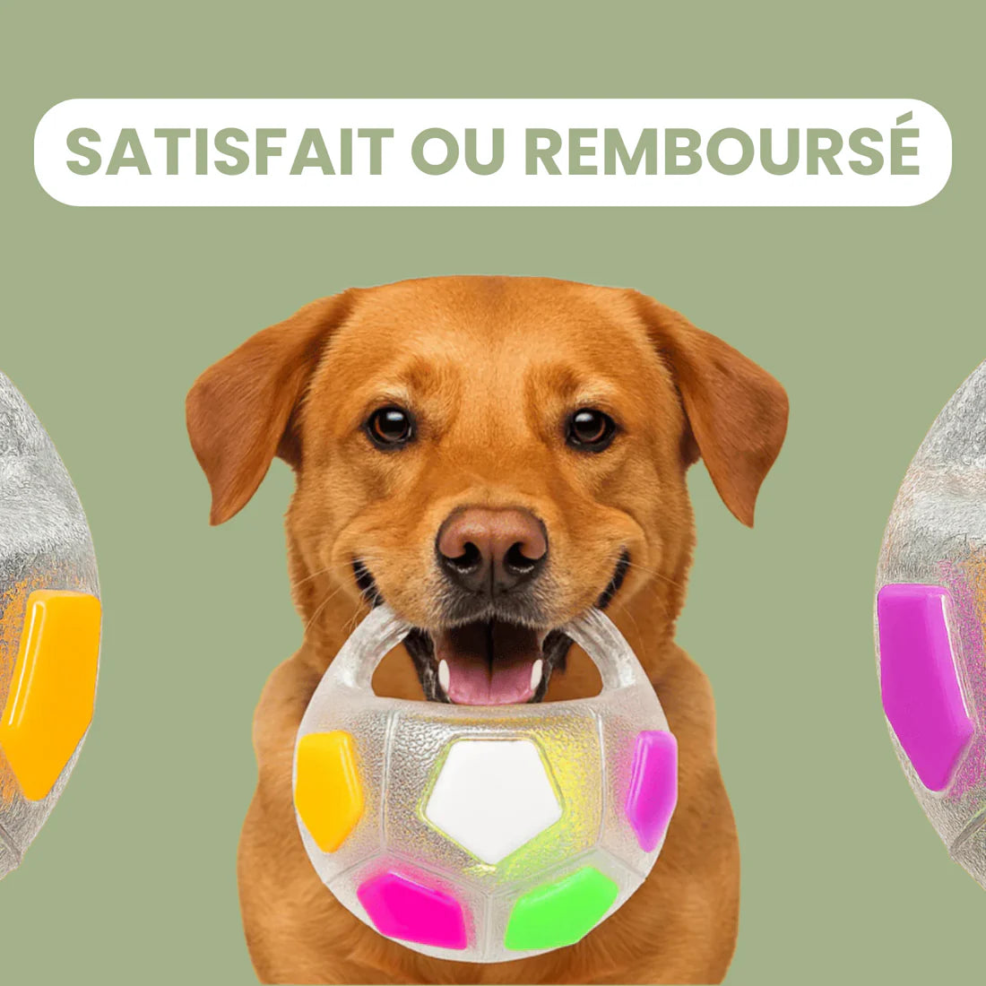 PlayDog - Balle anti-stress