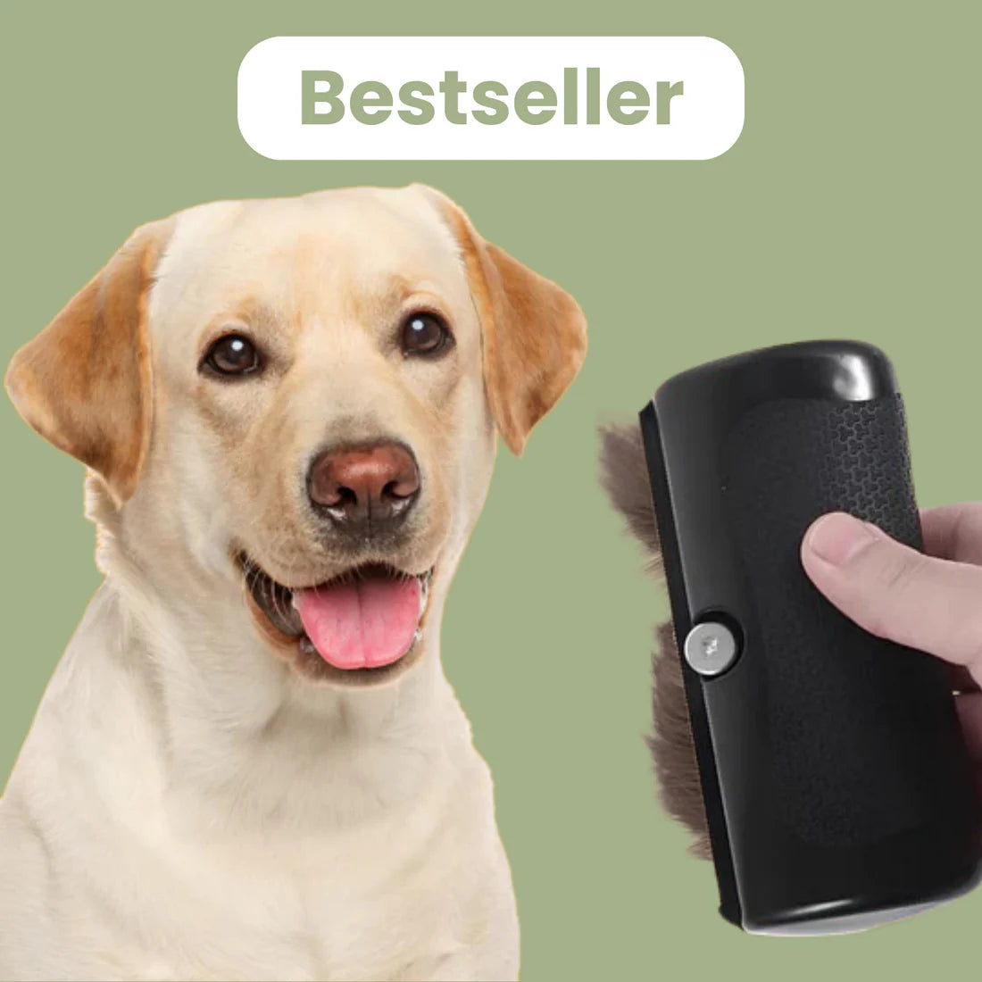 La Brosse Magique pour chien