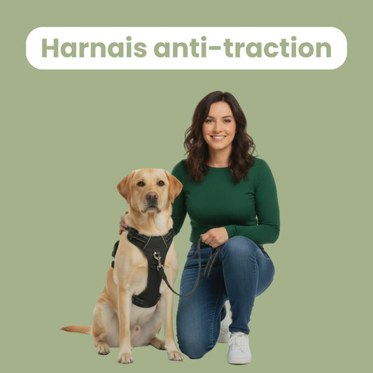 ControlFlex™ – Harnais anti-traction