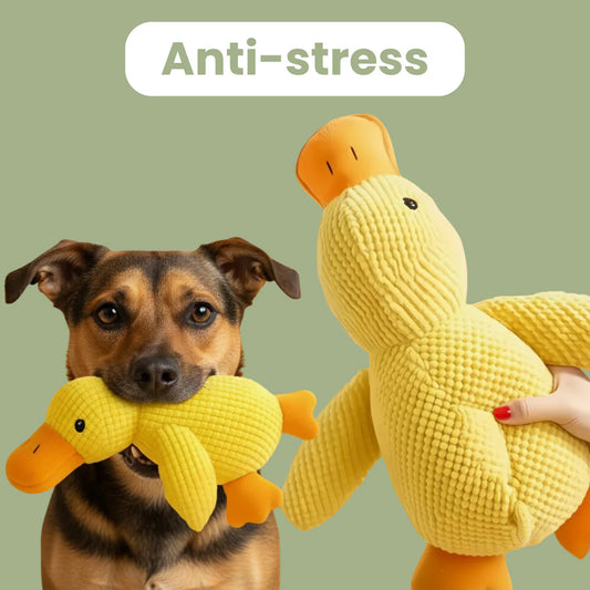 Le ZenDuck™ - Canard anti-stress