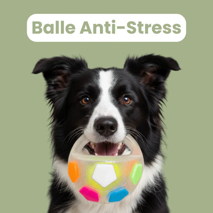 PlayDog - Balle anti-stress