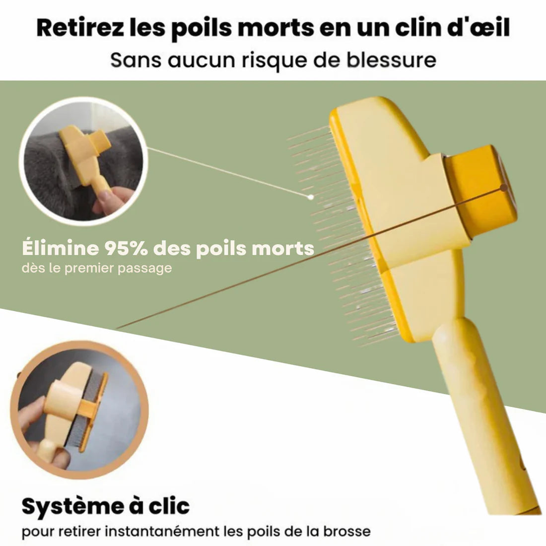 Brosse anti-poil pour chat