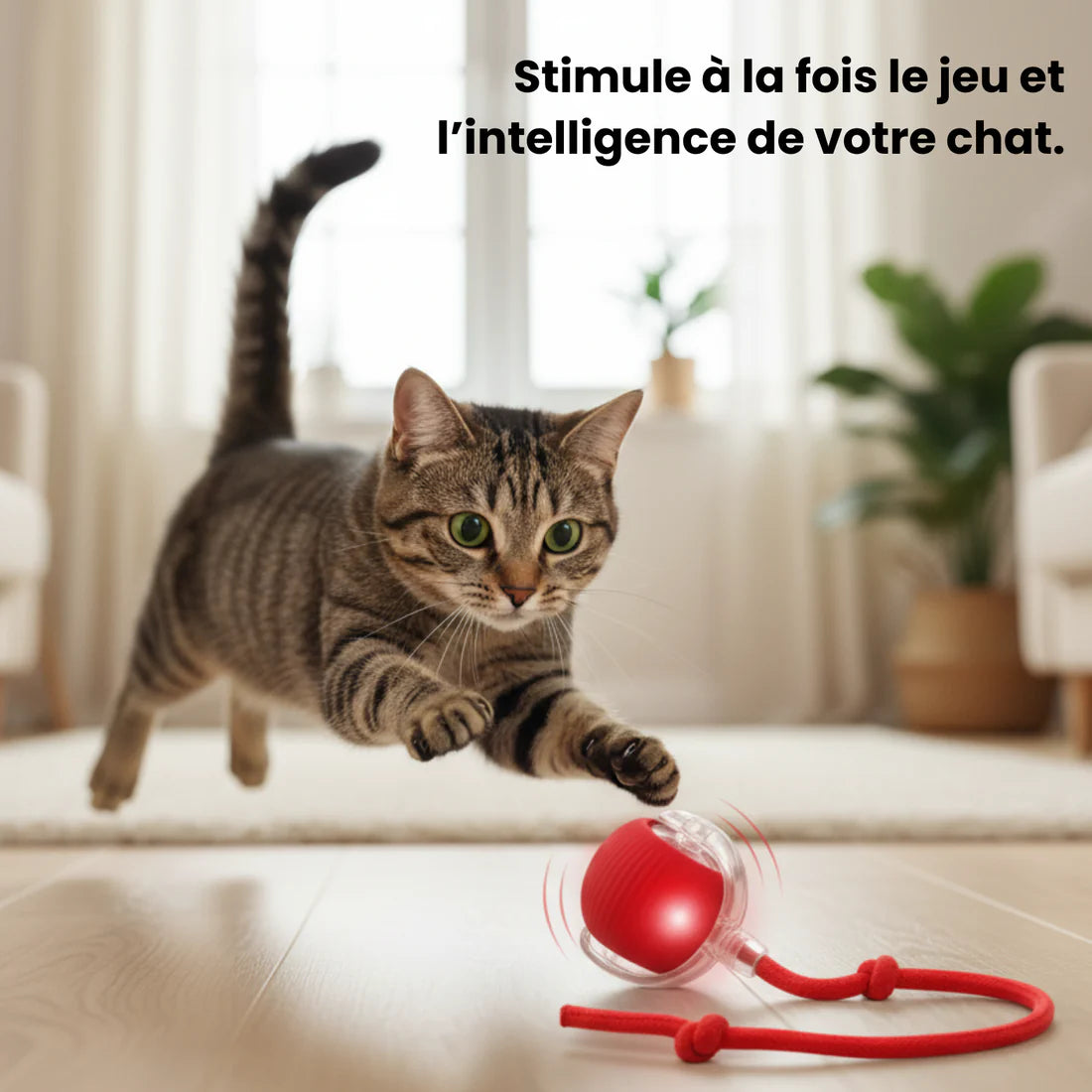 CatBall™ - Balle Interactive