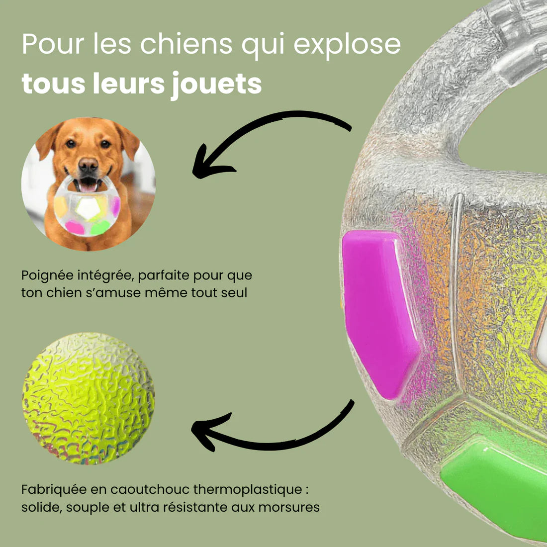 PlayDog - Balle anti-stress