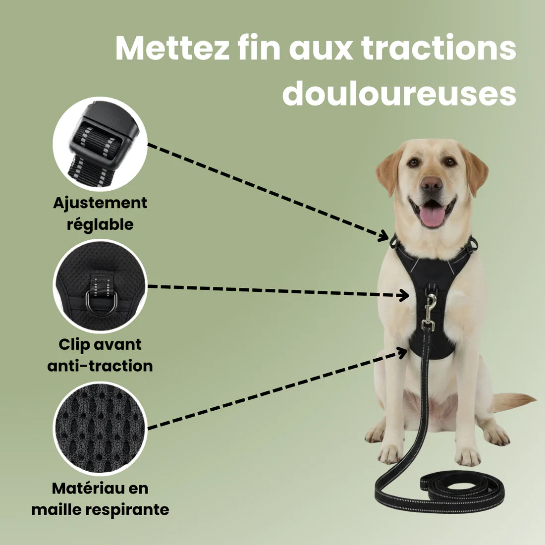ControlFlex™ – Harnais anti-traction