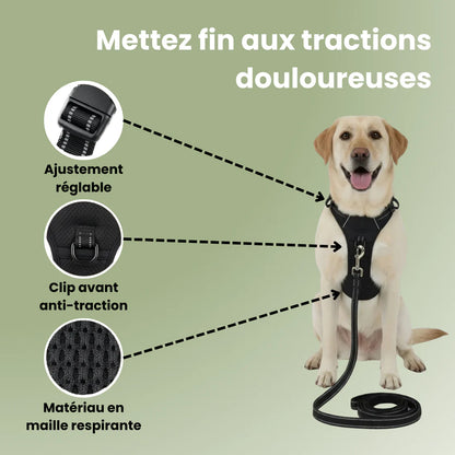 ControlFlex™ – Harnais anti-traction