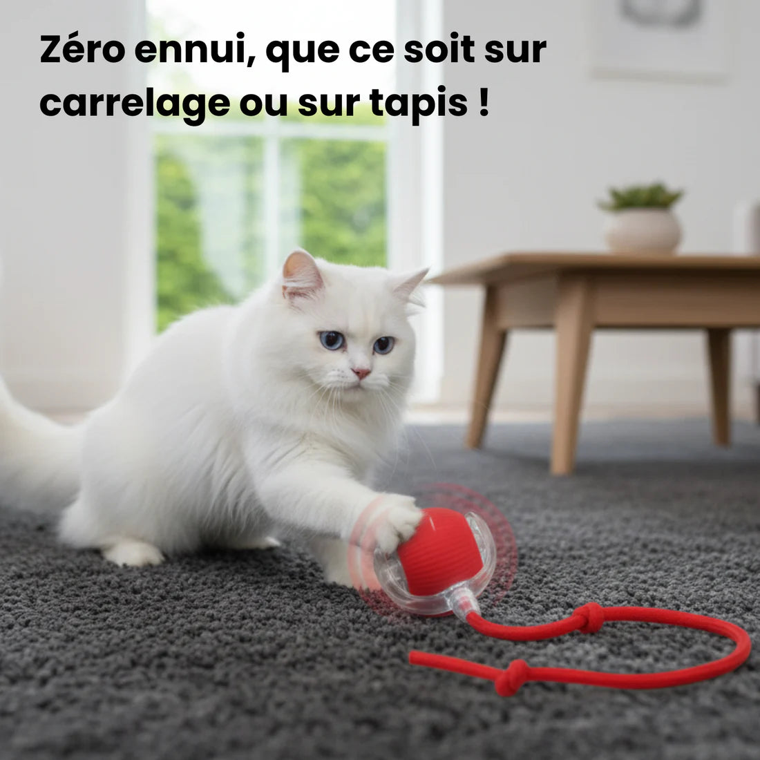 CatBall™ - Balle Interactive