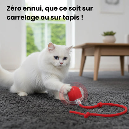 CatBall™ - Balle Interactive
