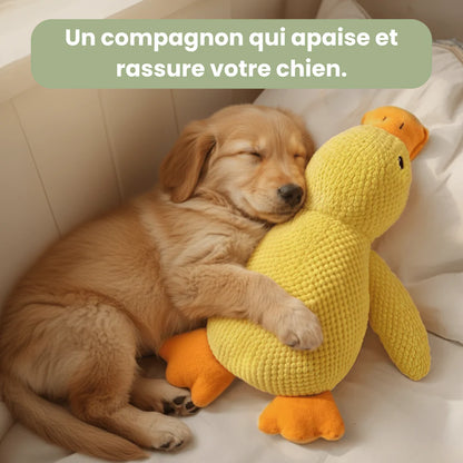 Le ZenDuck™ - Canard anti-stress