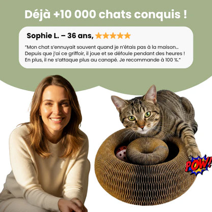 Griffoir interactif pour chats