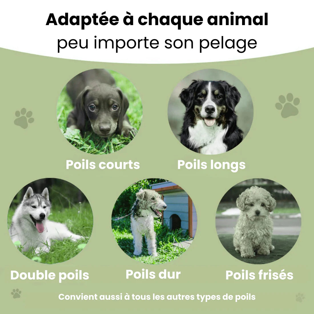 La Brosse Magique pour chien