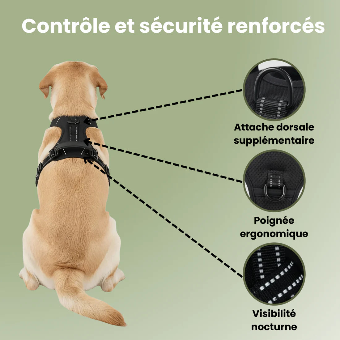ControlFlex™ – Harnais anti-traction