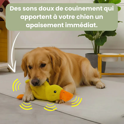 Le ZenDuck™ - Canard anti-stress