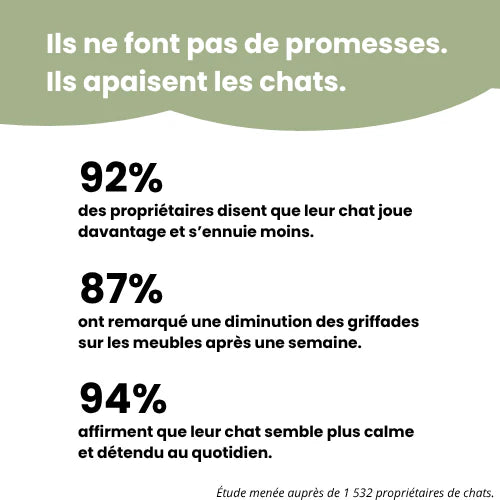 Griffoir interactif pour chats