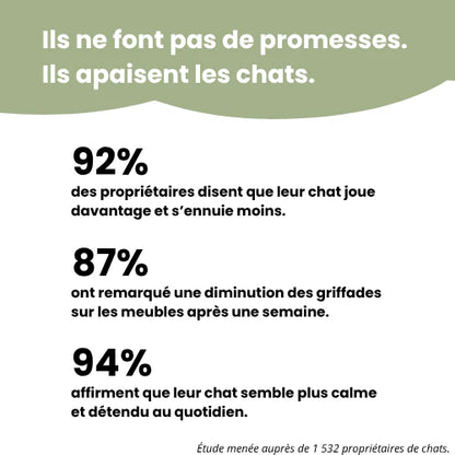 Griffoir interactif pour chats