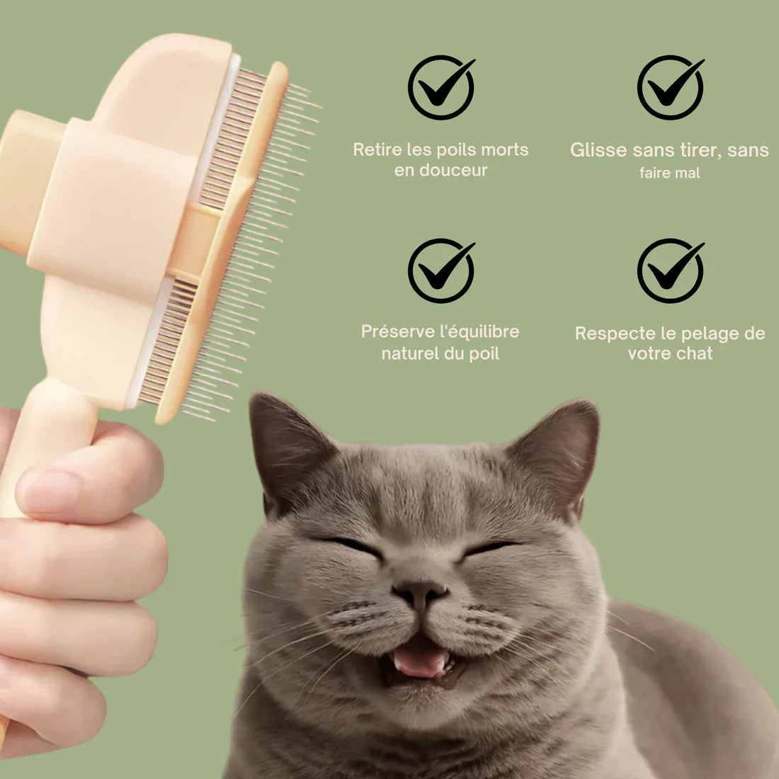 Brosse anti-poil pour chat