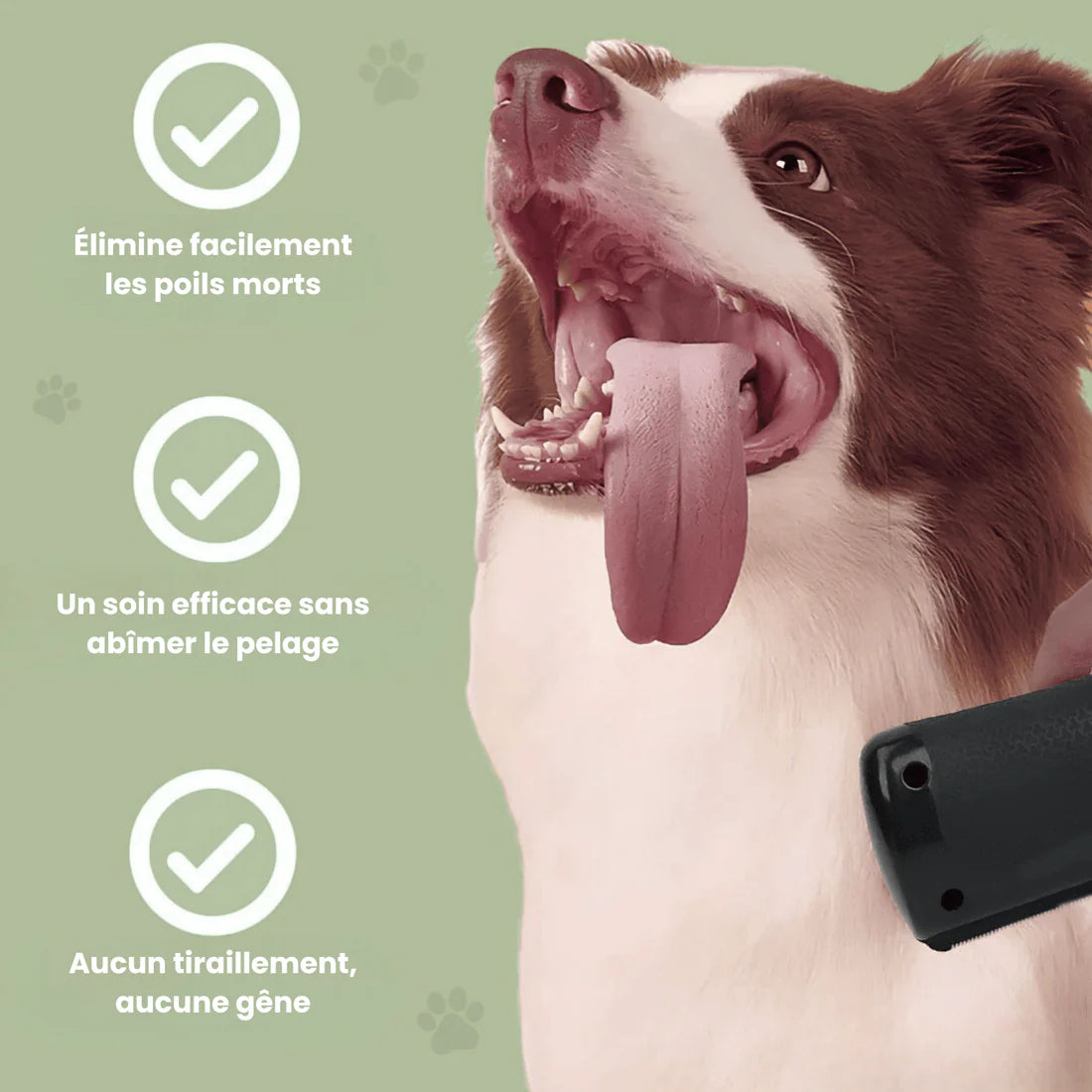 La Brosse Magique pour chien