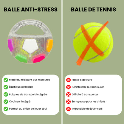 PlayDog - Balle anti-stress