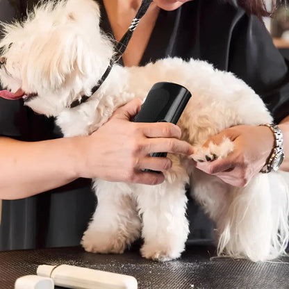 La Brosse Magique pour chien