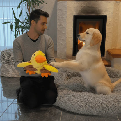 Le ZenDuck™ - Canard anti-stress