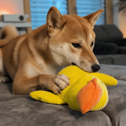 Le ZenDuck™ - Canard anti-stress
