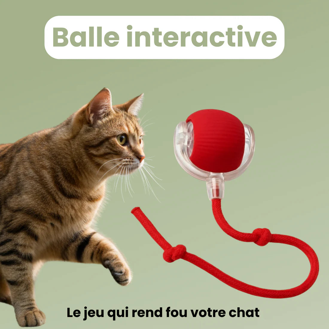 CatBall™ - Balle Interactive