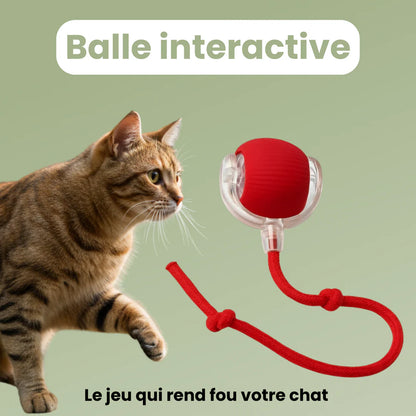 CatBall™ - Balle Interactive
