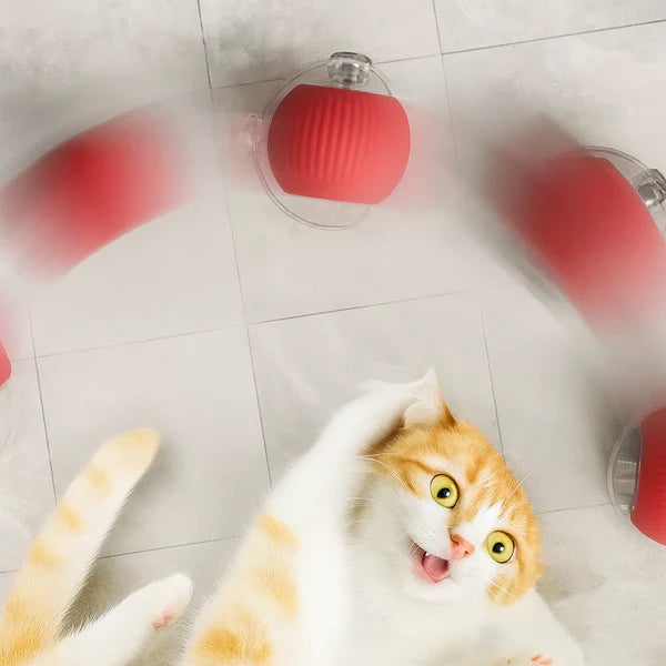 CatBall™ - Balle Interactive